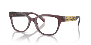 Versace 3338 5209